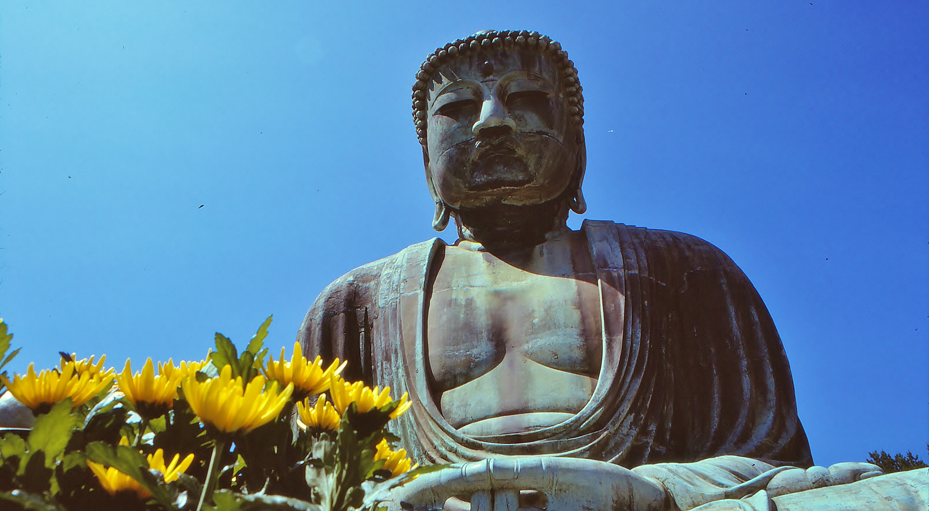 19987739784_b6b238428b_o