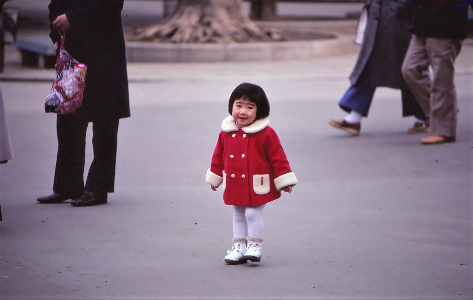 20054270478_7b4a93f161_o