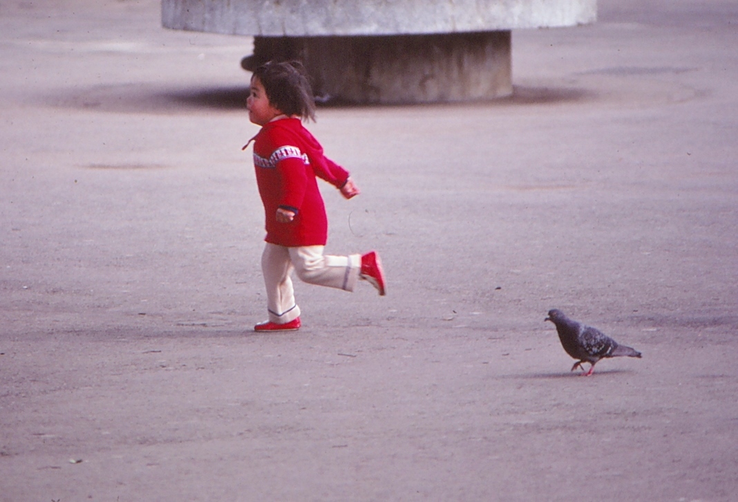 20055564078_ac345d08de_o