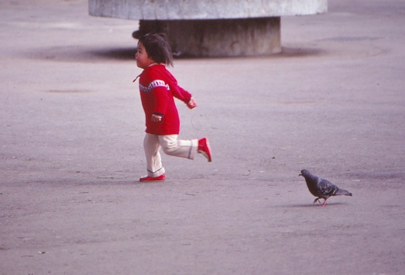 20055564078_ac345d08de_o