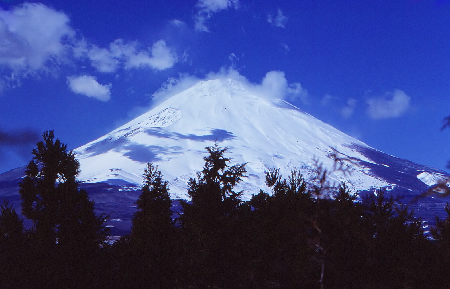 20276212990_2736a4e36b_o