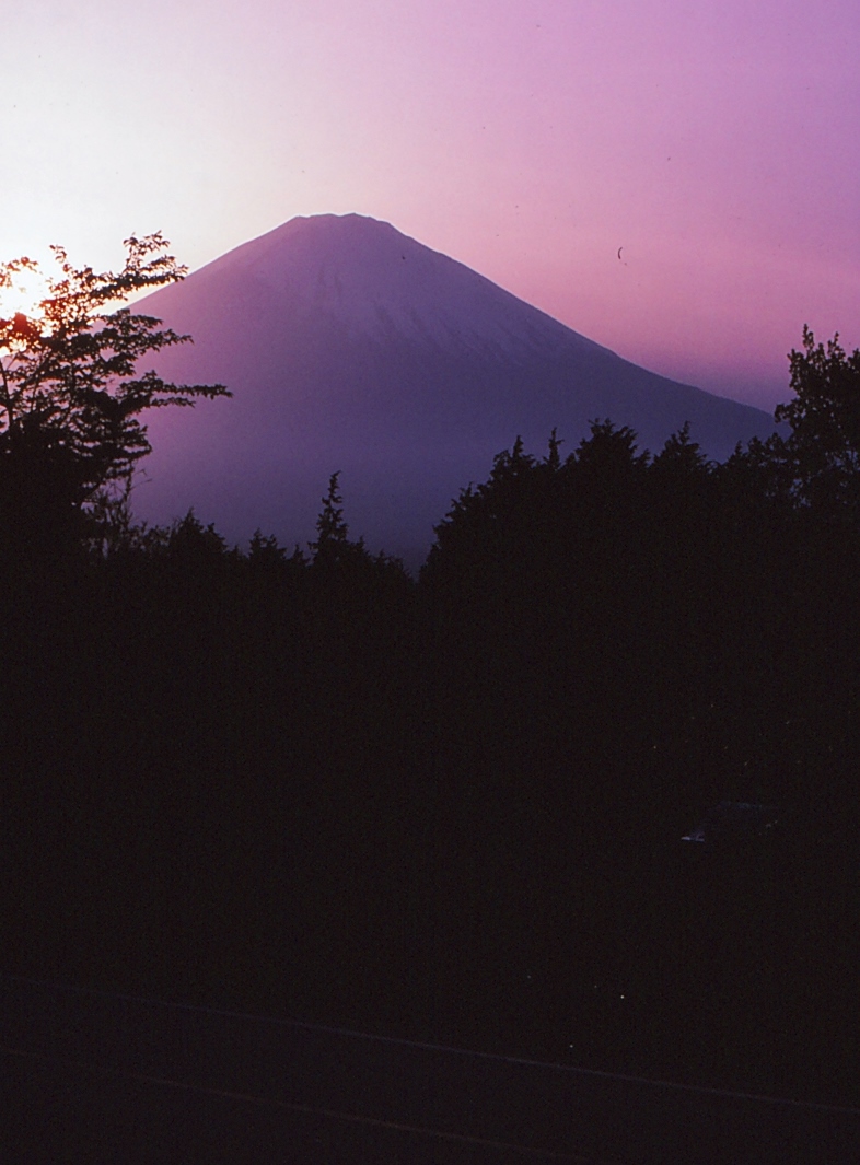 20332521893_503831b178_o