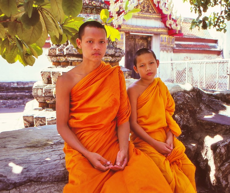 20503343214_690f4c7b93_o