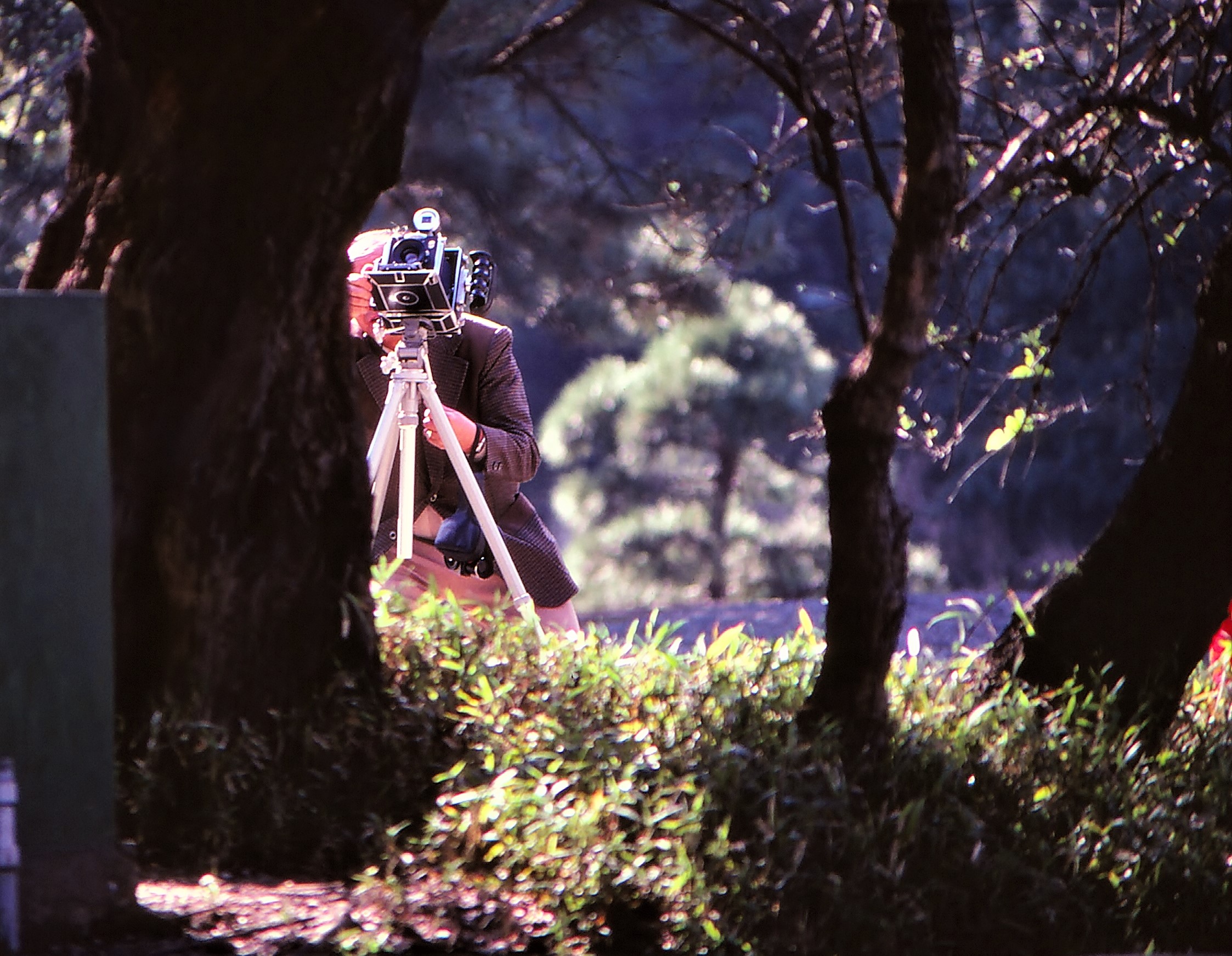 21723680721_8a4b3d184e_o