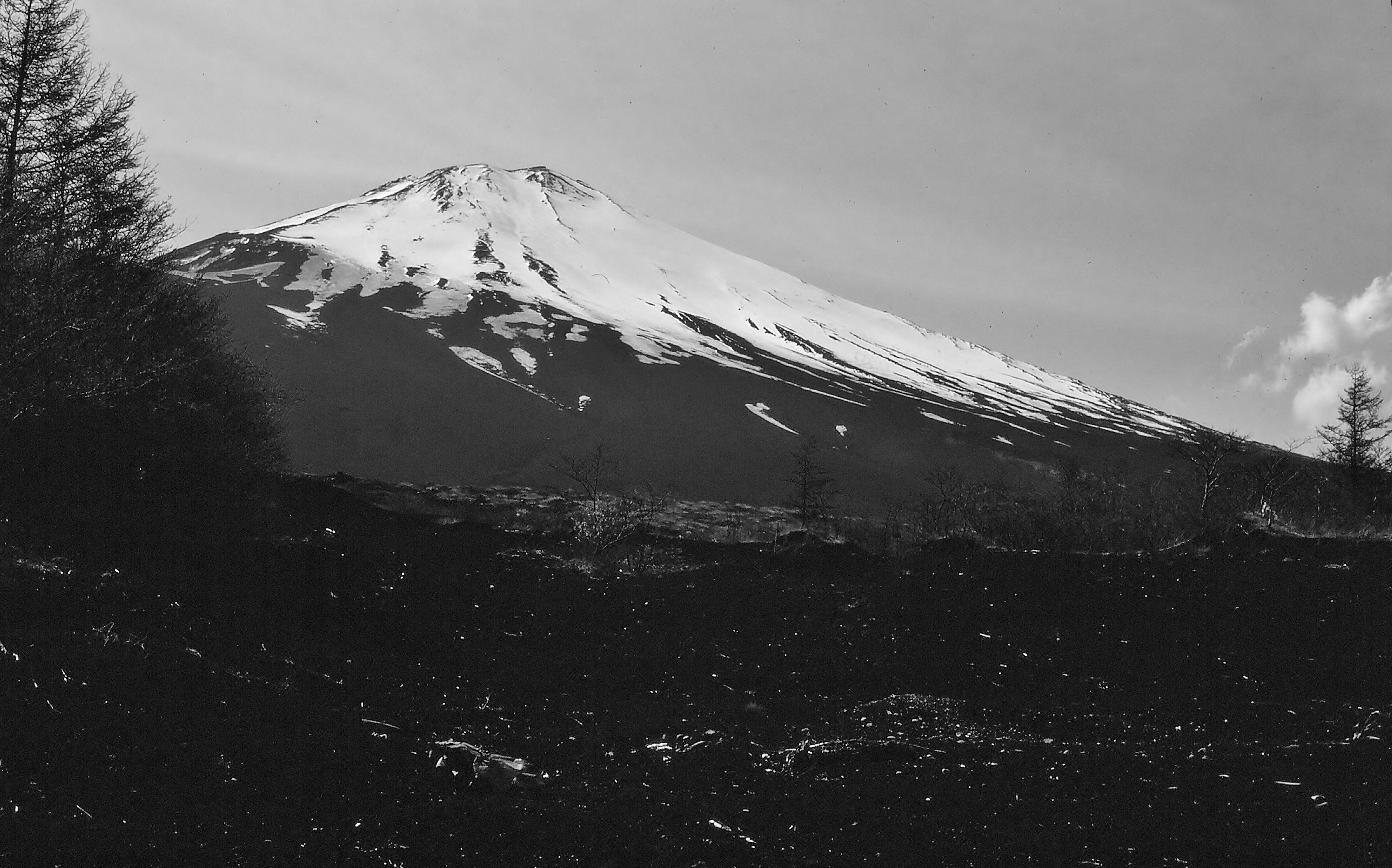 22187107398_cb66f3b543_o