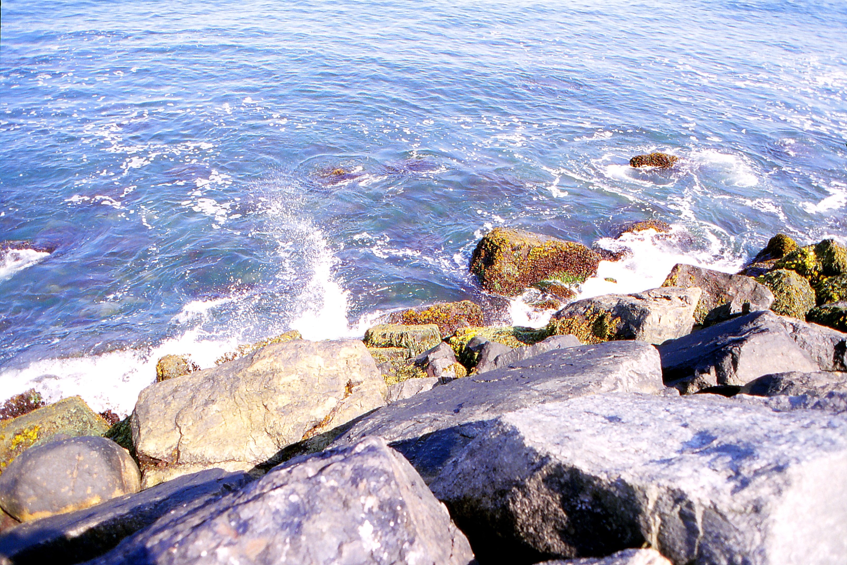 img_20161216_0037_new