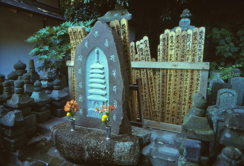 20424332558_f431aff969_o