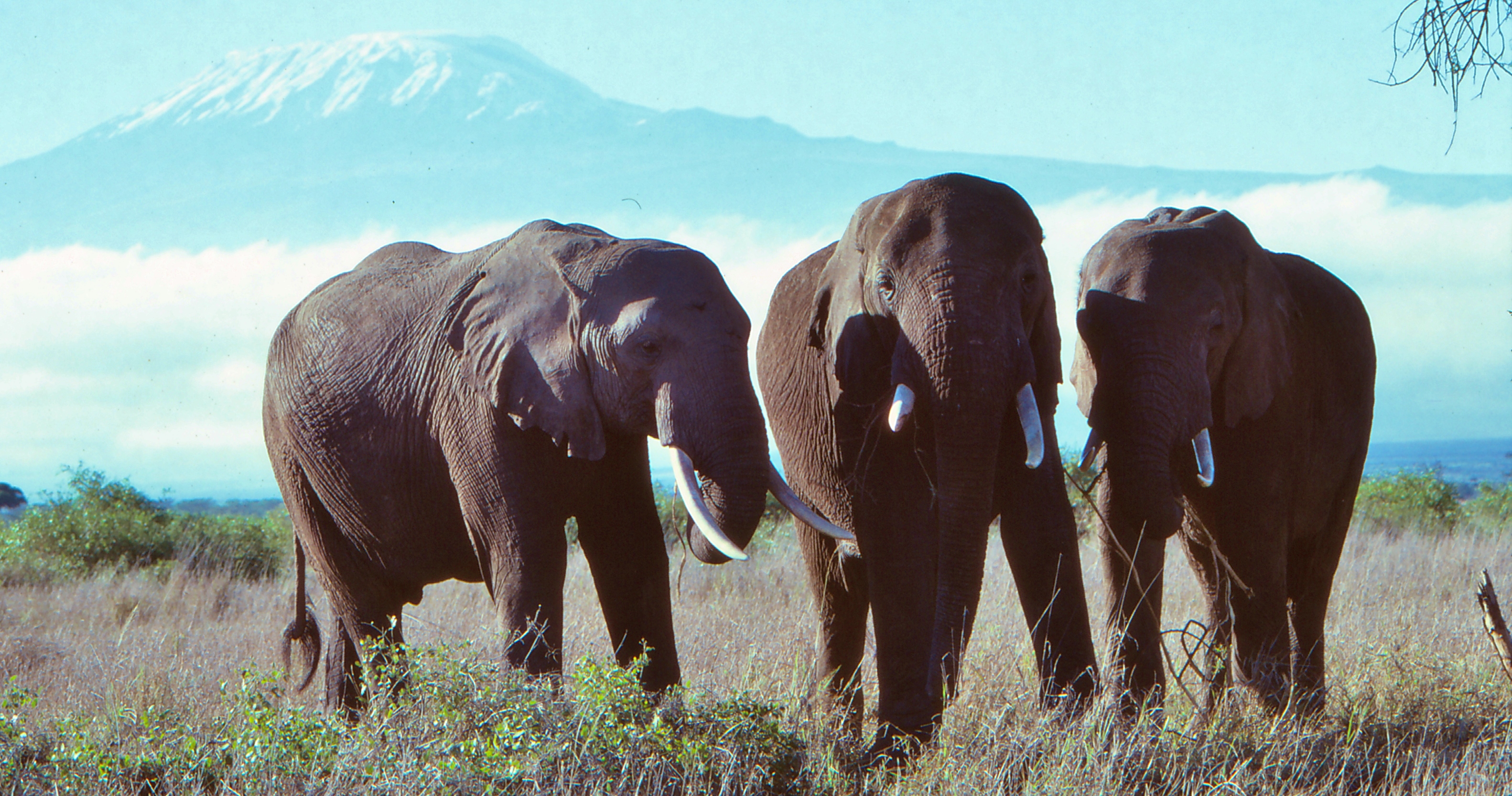 20989553398_590ce75815_o