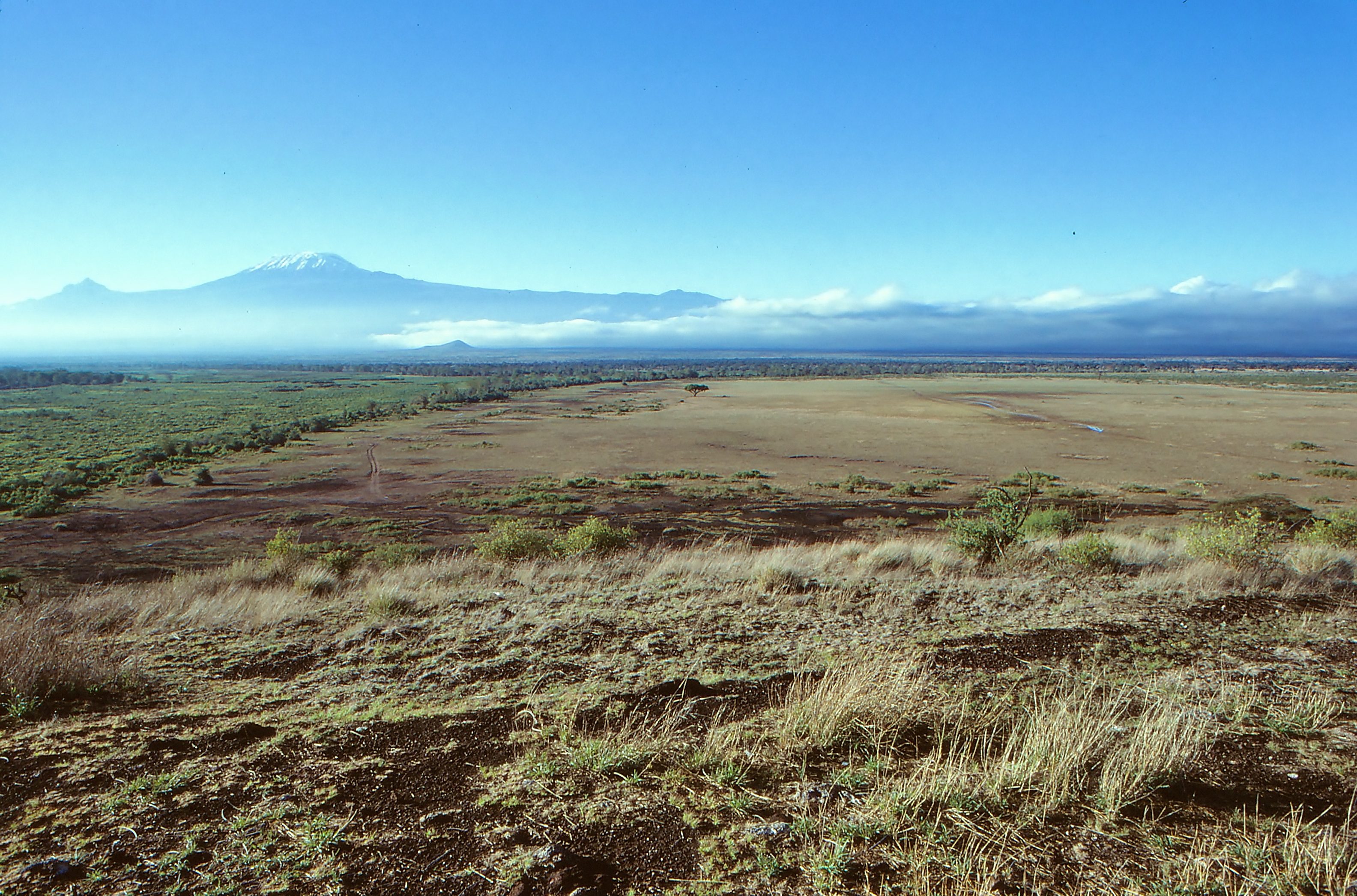 20990500390_9132890156_o