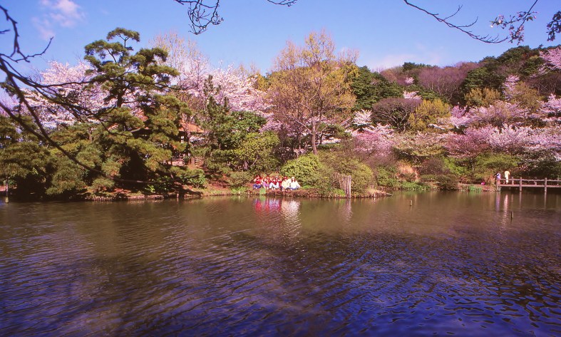 21087177073_aedba71f8f_o