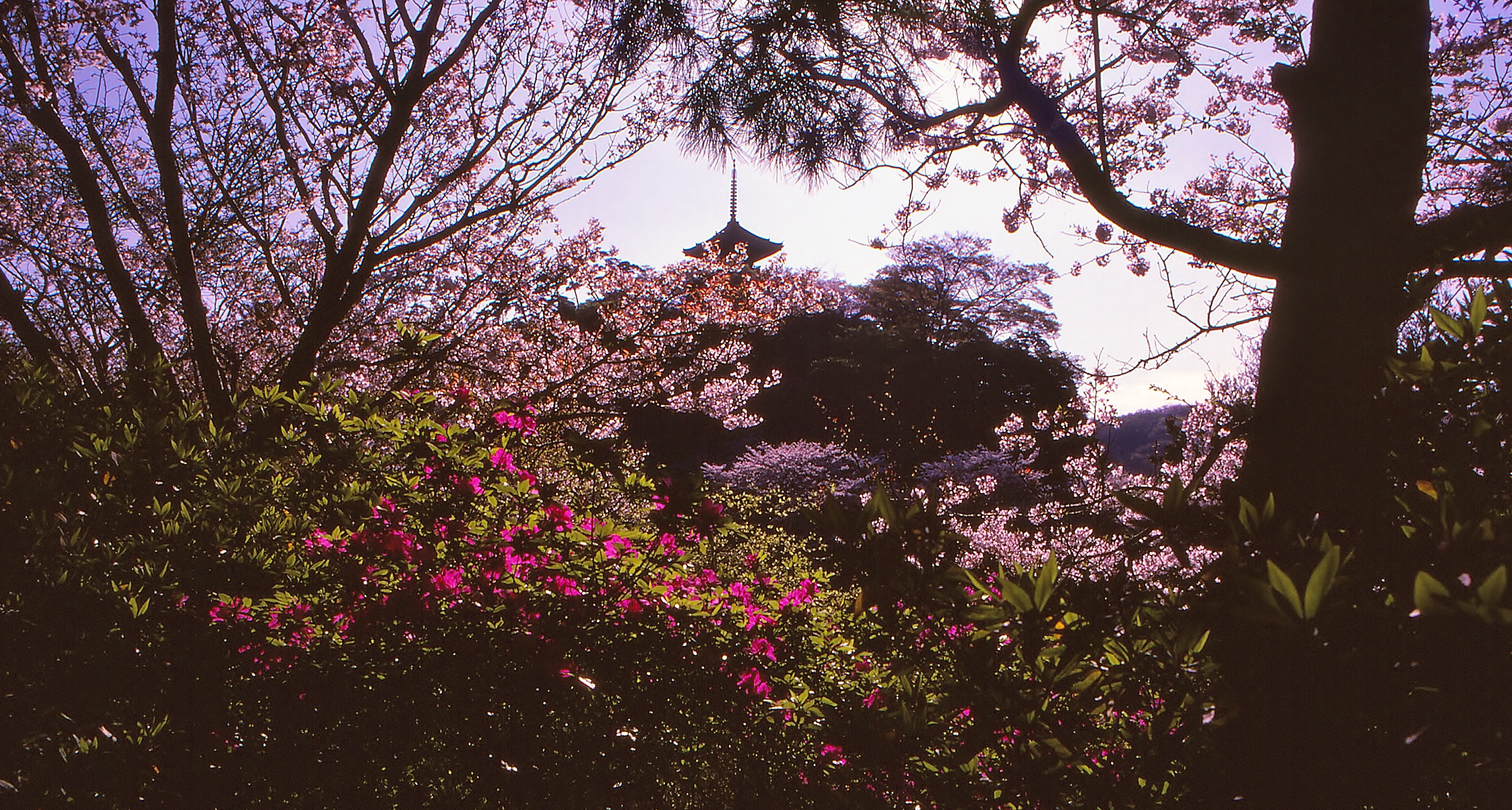 22343030079_18e6e717a1_o