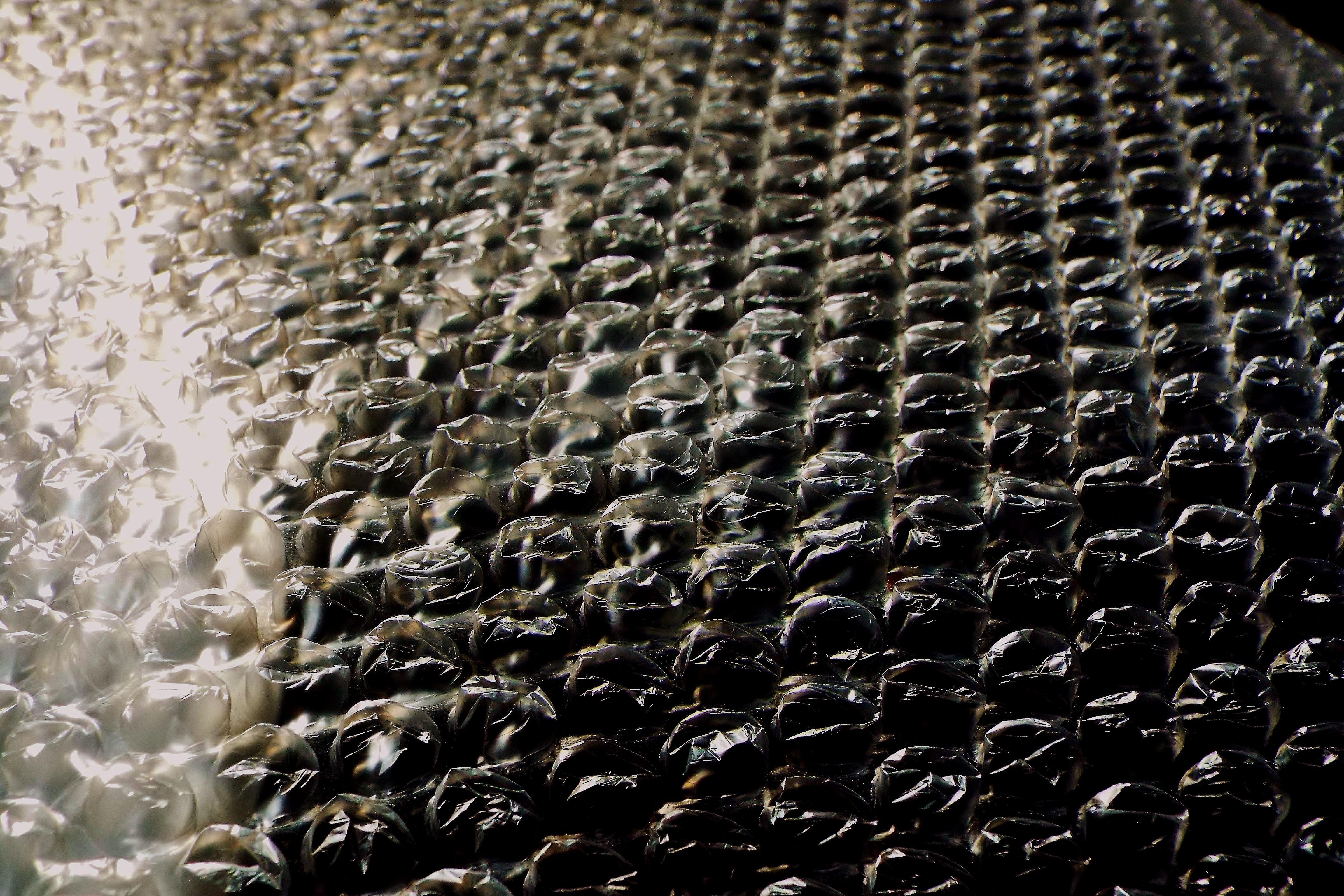 25130163581_70e32ef502_o