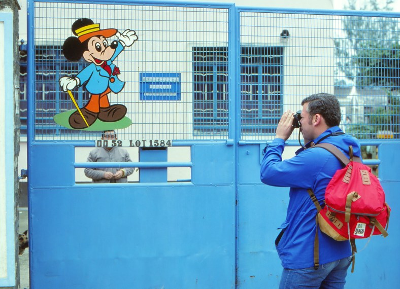 29938365736_0c848d687b_o