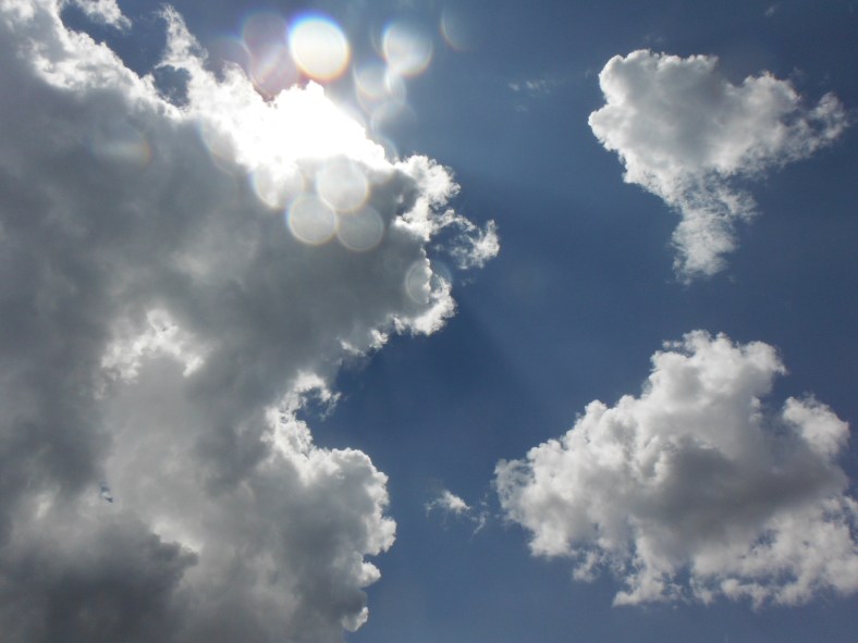 15323441916_cc1db02538_o