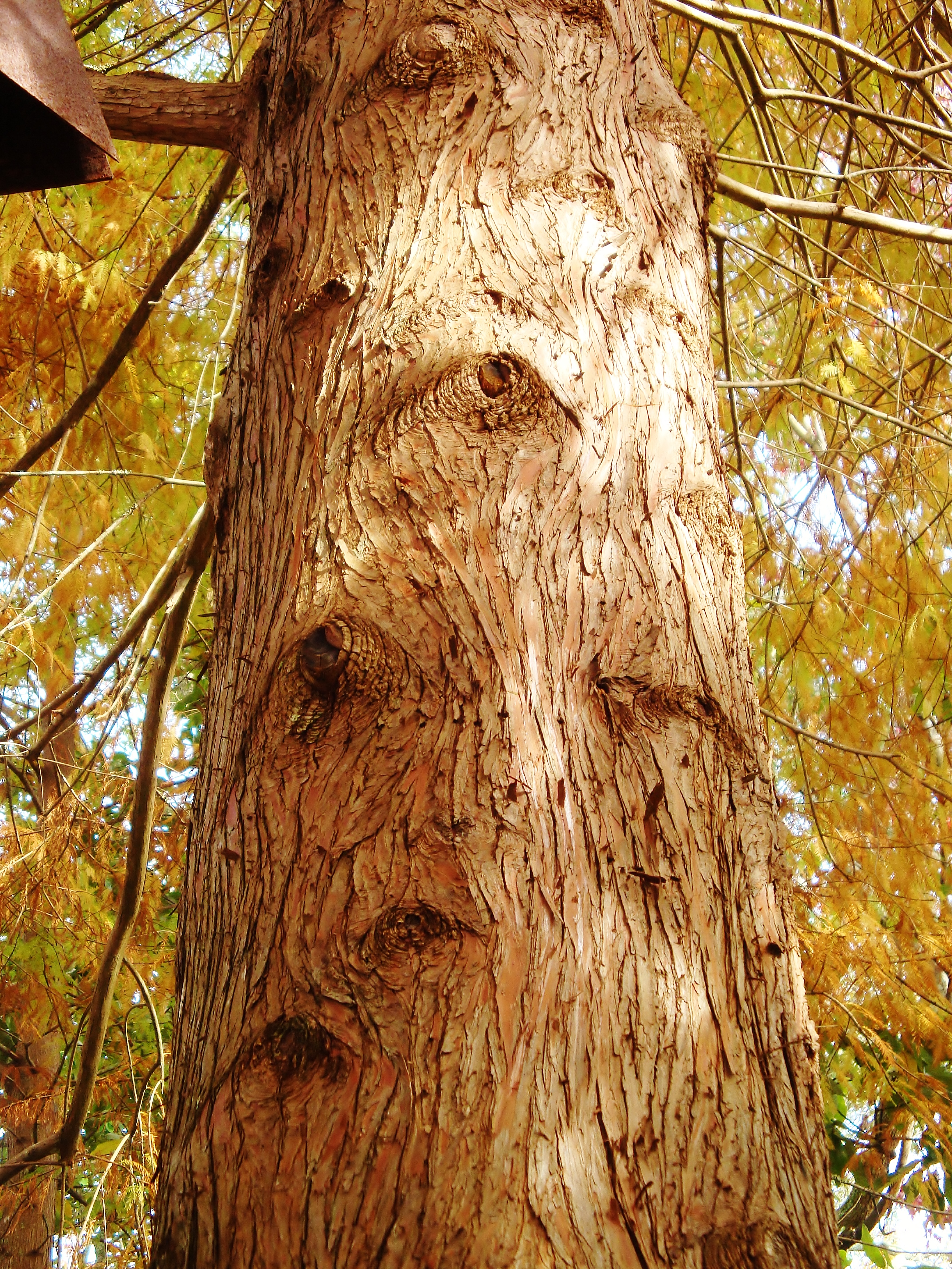 15684557809_e30c951a3c_o