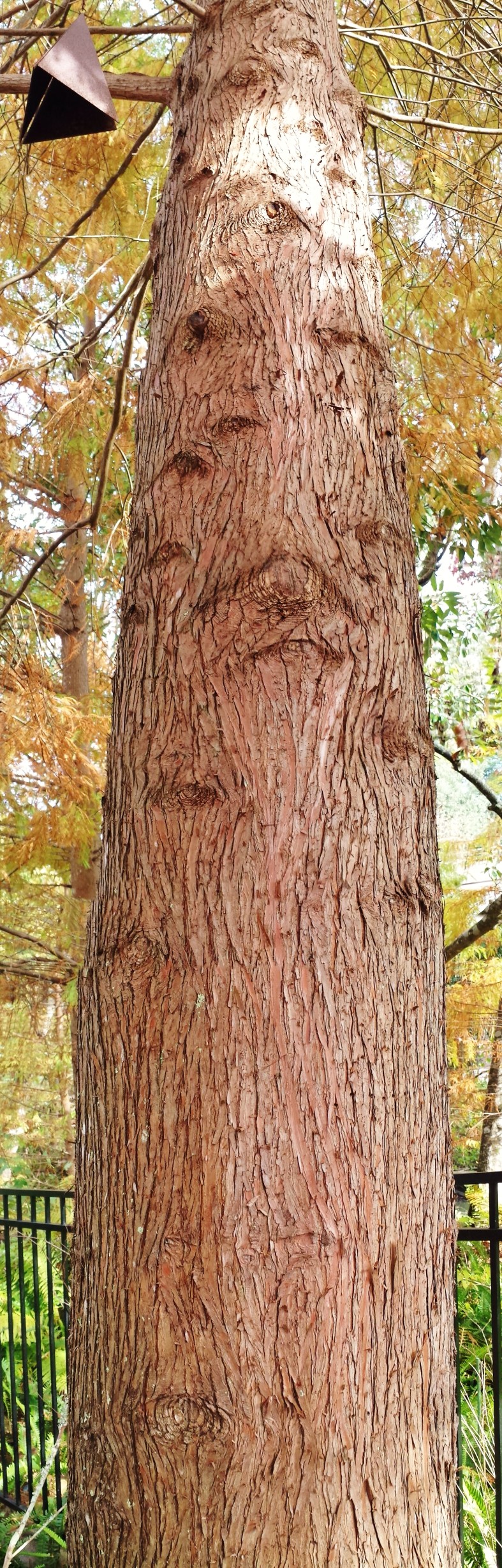 15685503290_60a2620a73_o