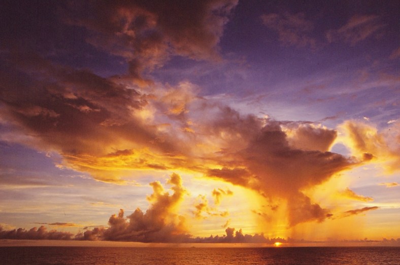 19620387043_ef82cf12c7_o