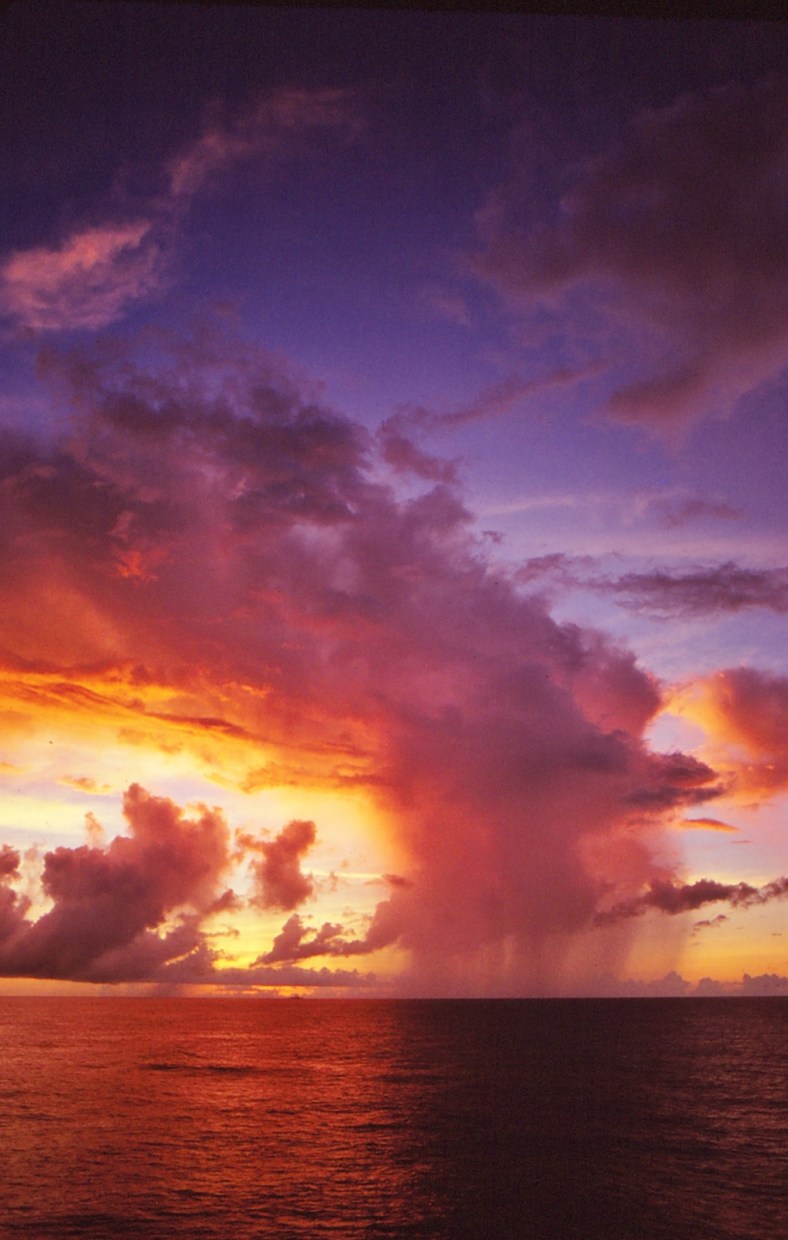 20241337685_a21d496ba1_o