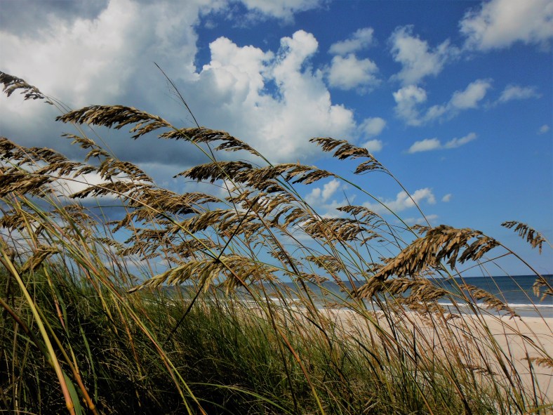 31639073483_3891944971_o