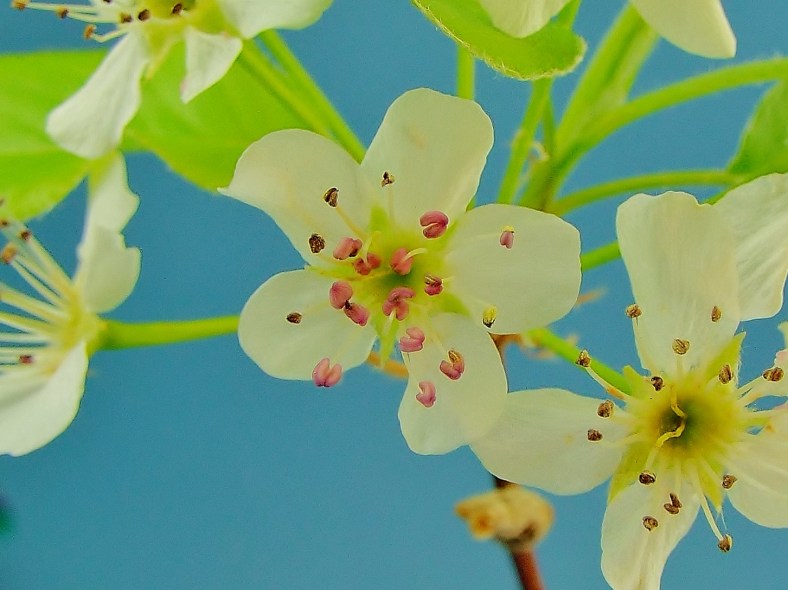 26165300312_f23285973e_o