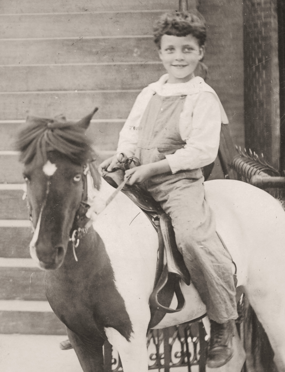 27716418205_3aaf000a5e_o