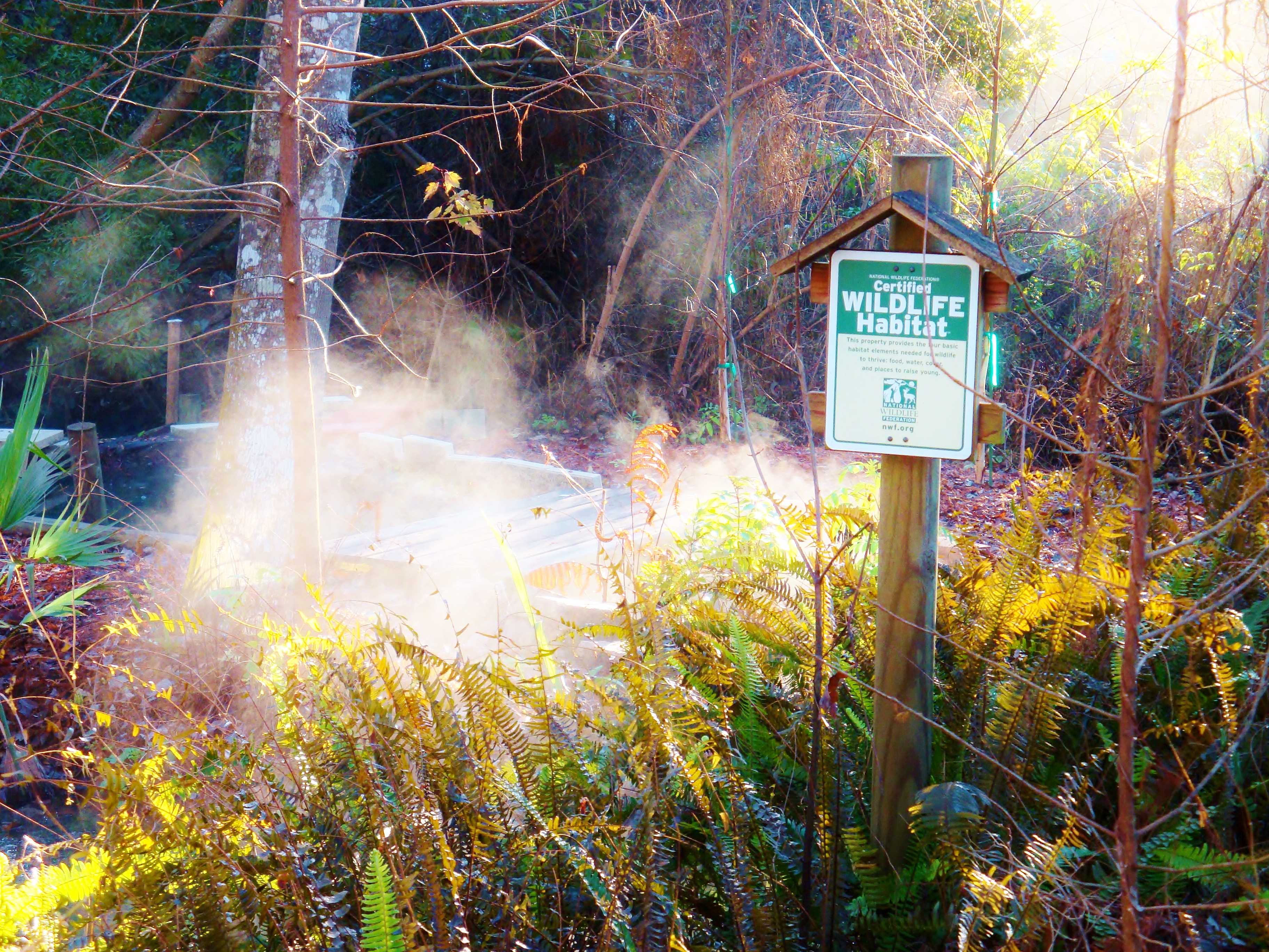 15748499129_224e976fd8_o