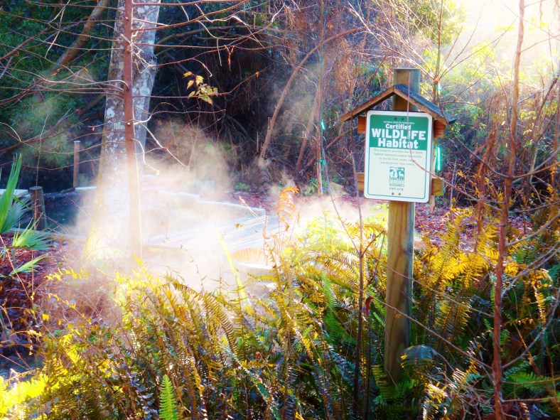 15748499129_224e976fd8_o