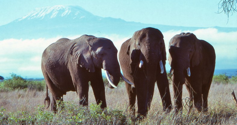 20989553398_590ce75815_o (1)