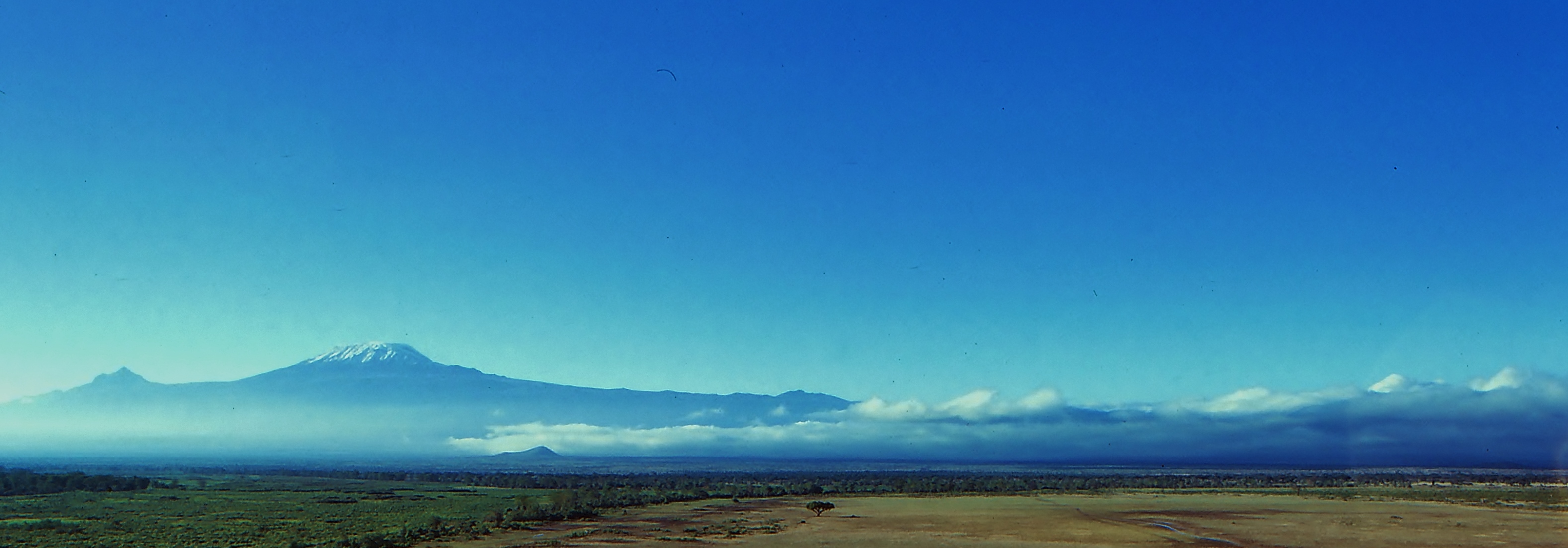 22054682705_ea47ed58d8_o (1)