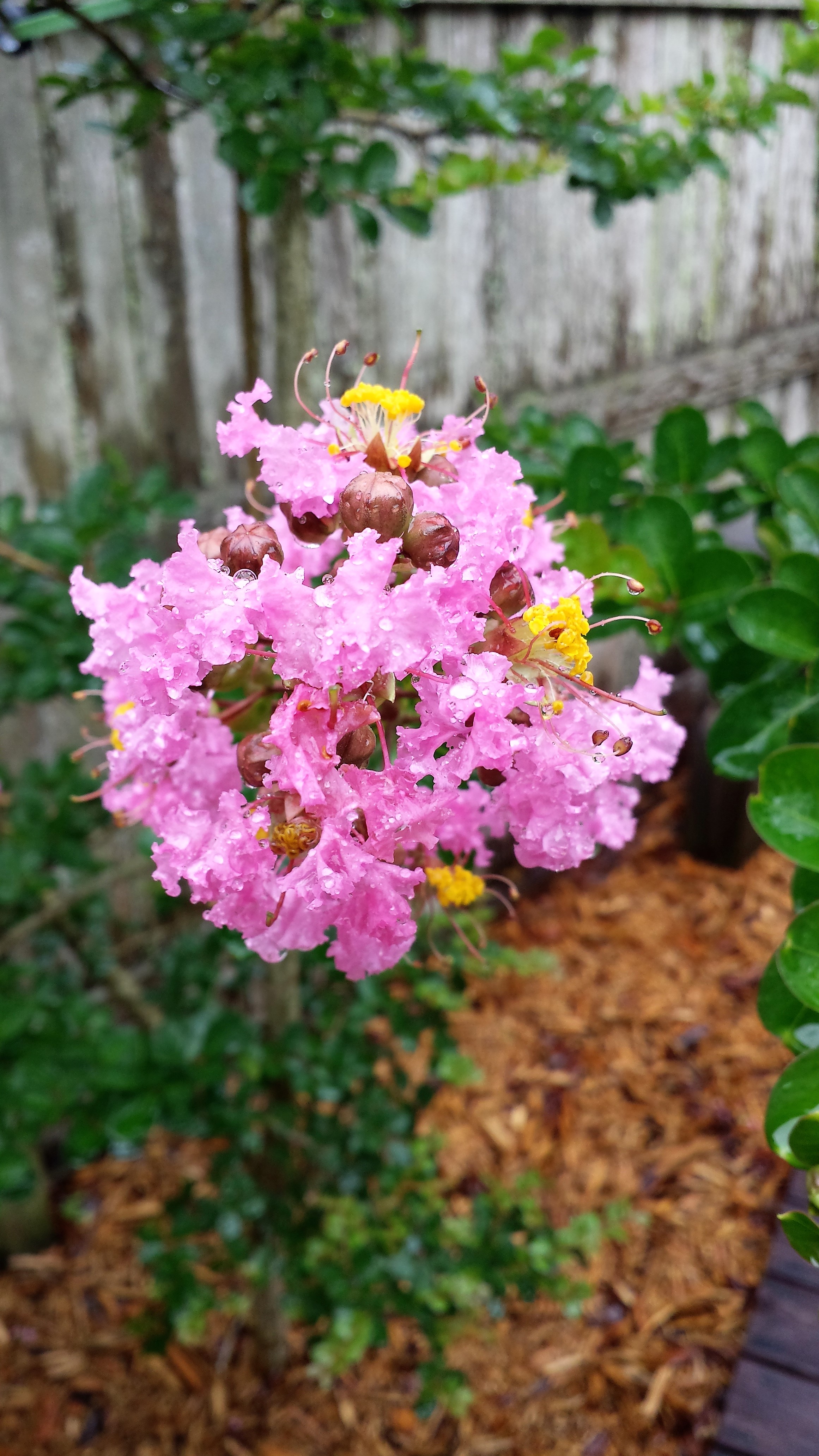 20170606_090013_Richtone(HDR)