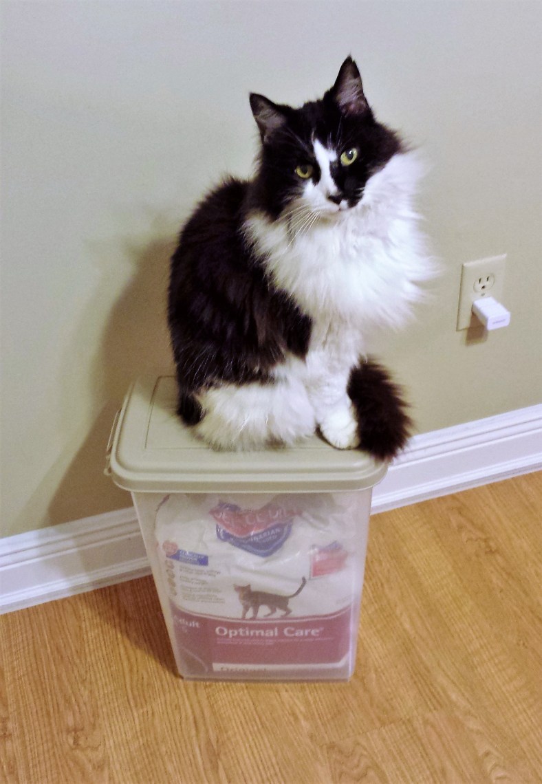 16267210966_bb6d58d3ae_o