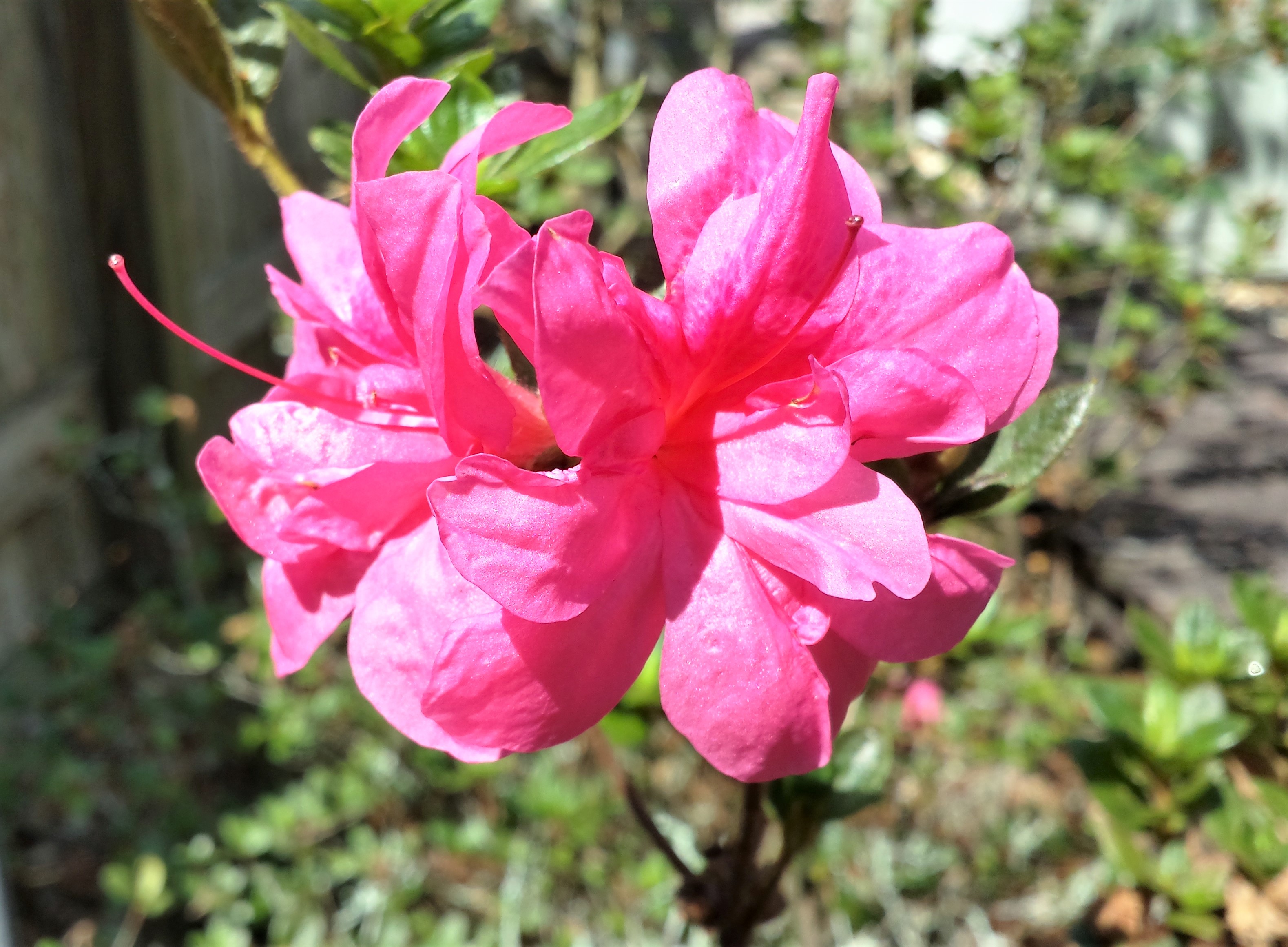 20170928_123206_Richtone(HDR)