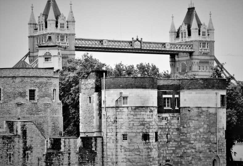 IMG_20171021_0009 bw