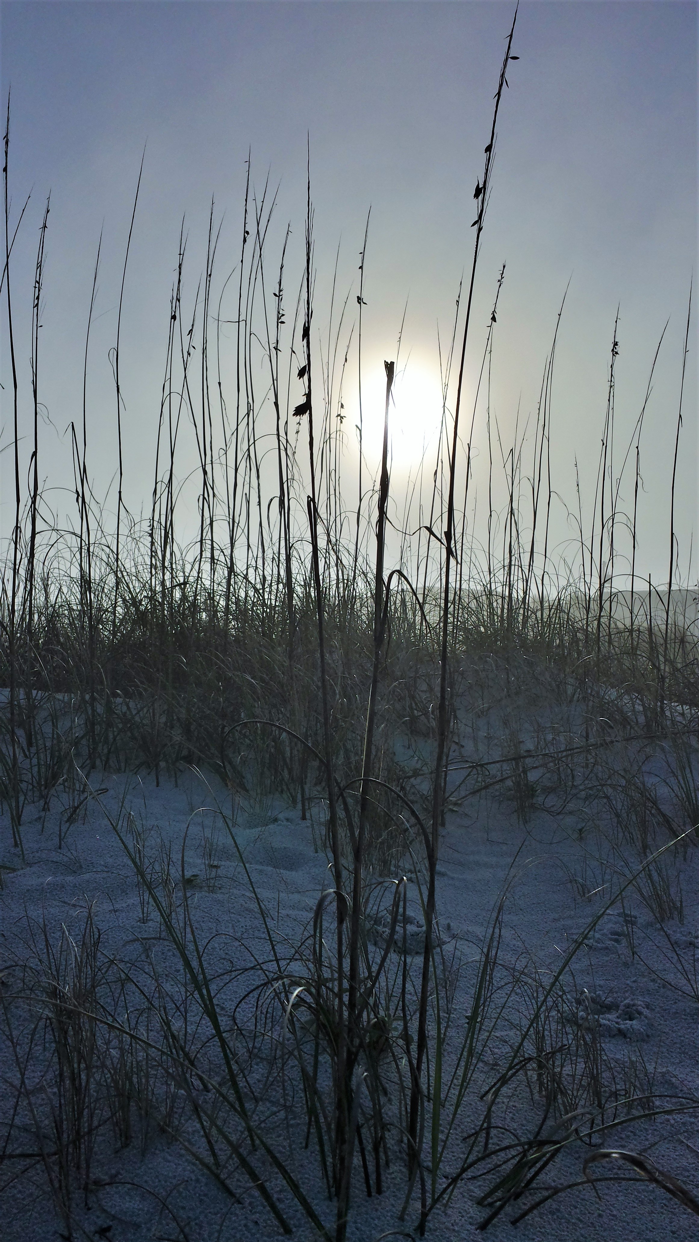 20140110_163755_Richtone(HDR)