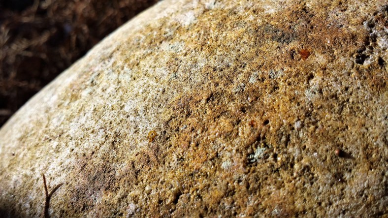 20140116_083030_Richtone(HDR)