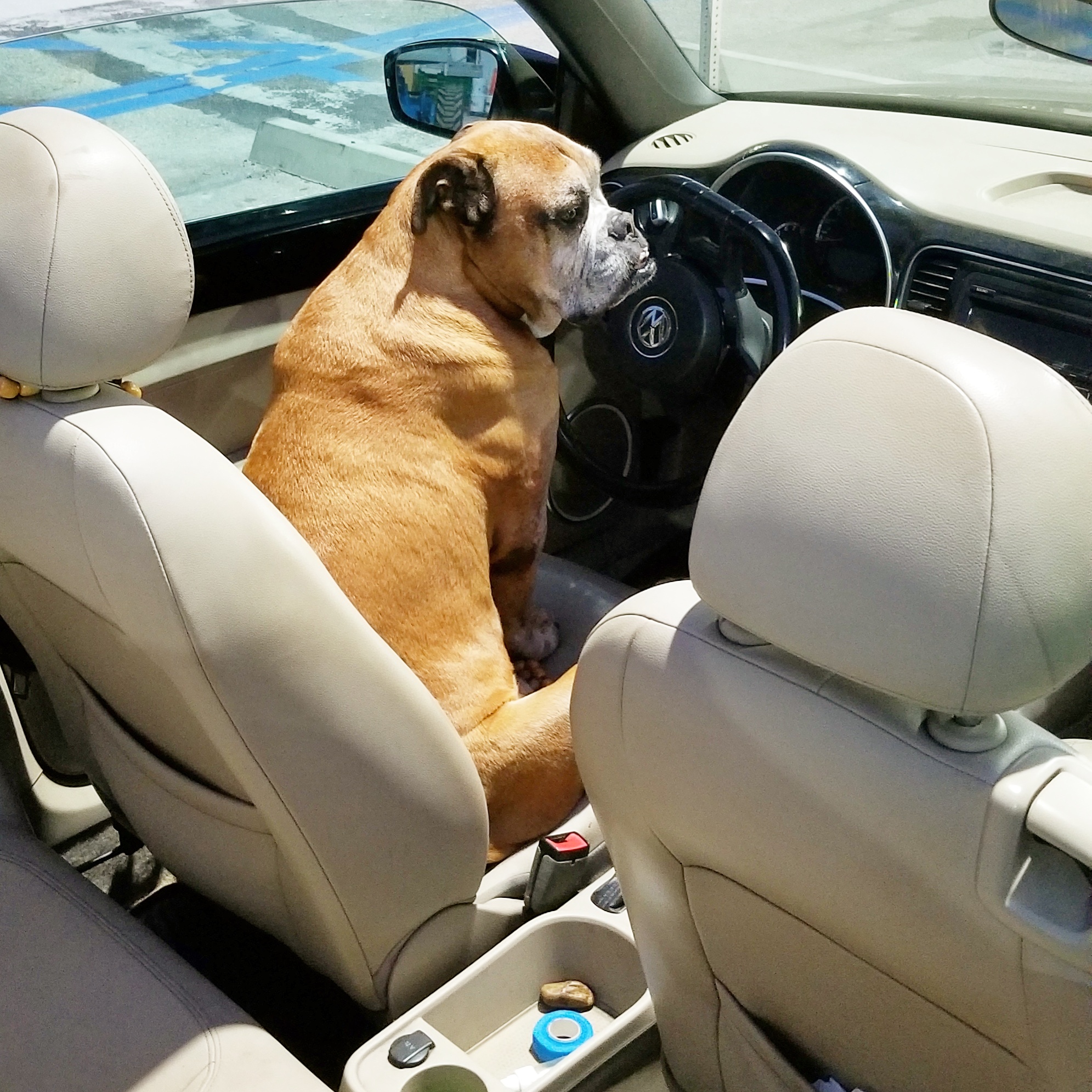 IMG_20180210_110325_924