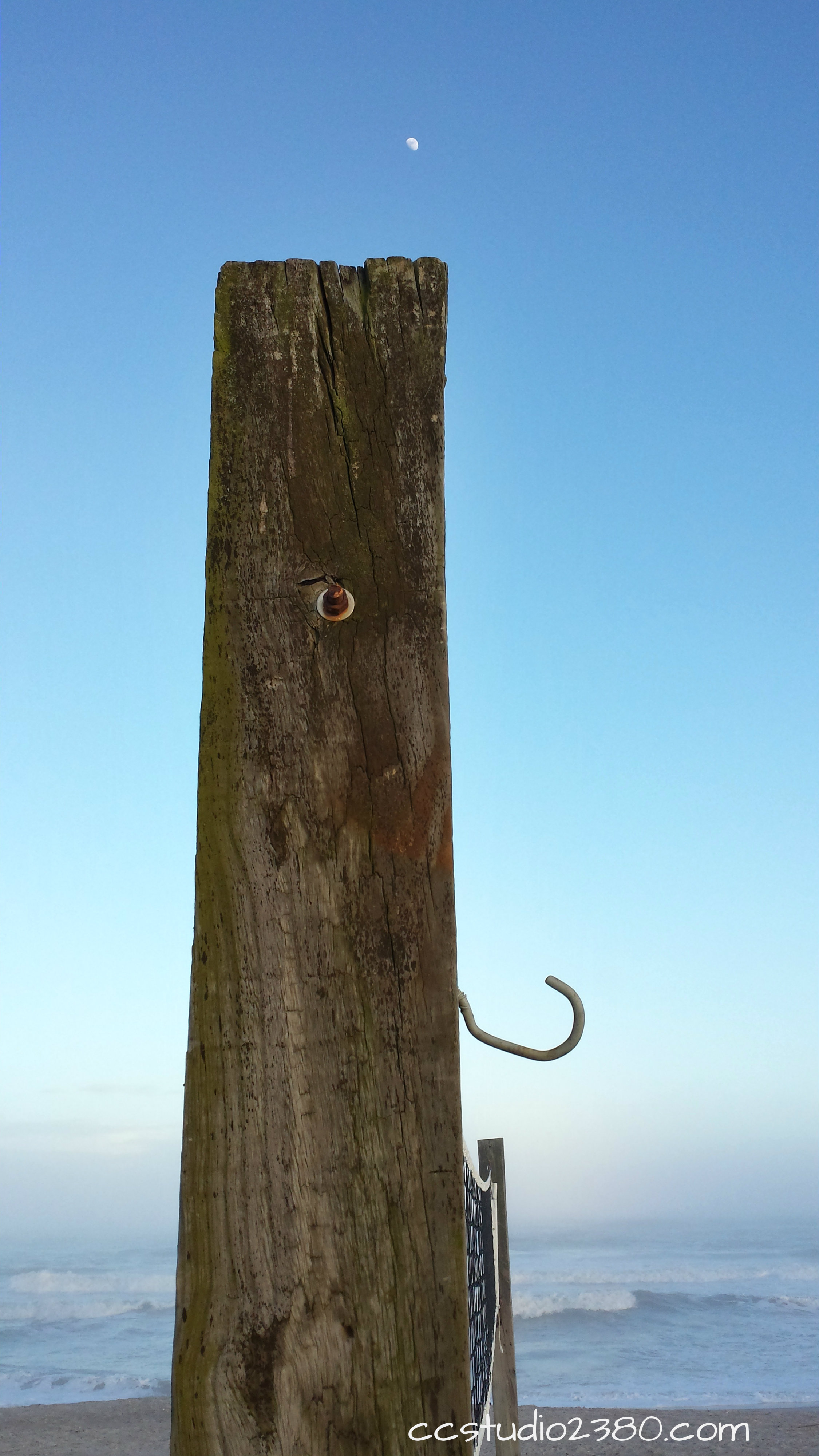 20140110_171006_Richtone(HDR) (1) logo