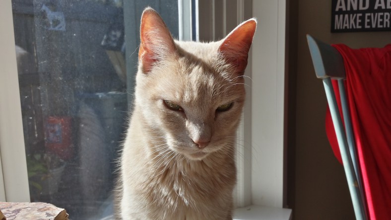 20140217_141607_Richtone(HDR)