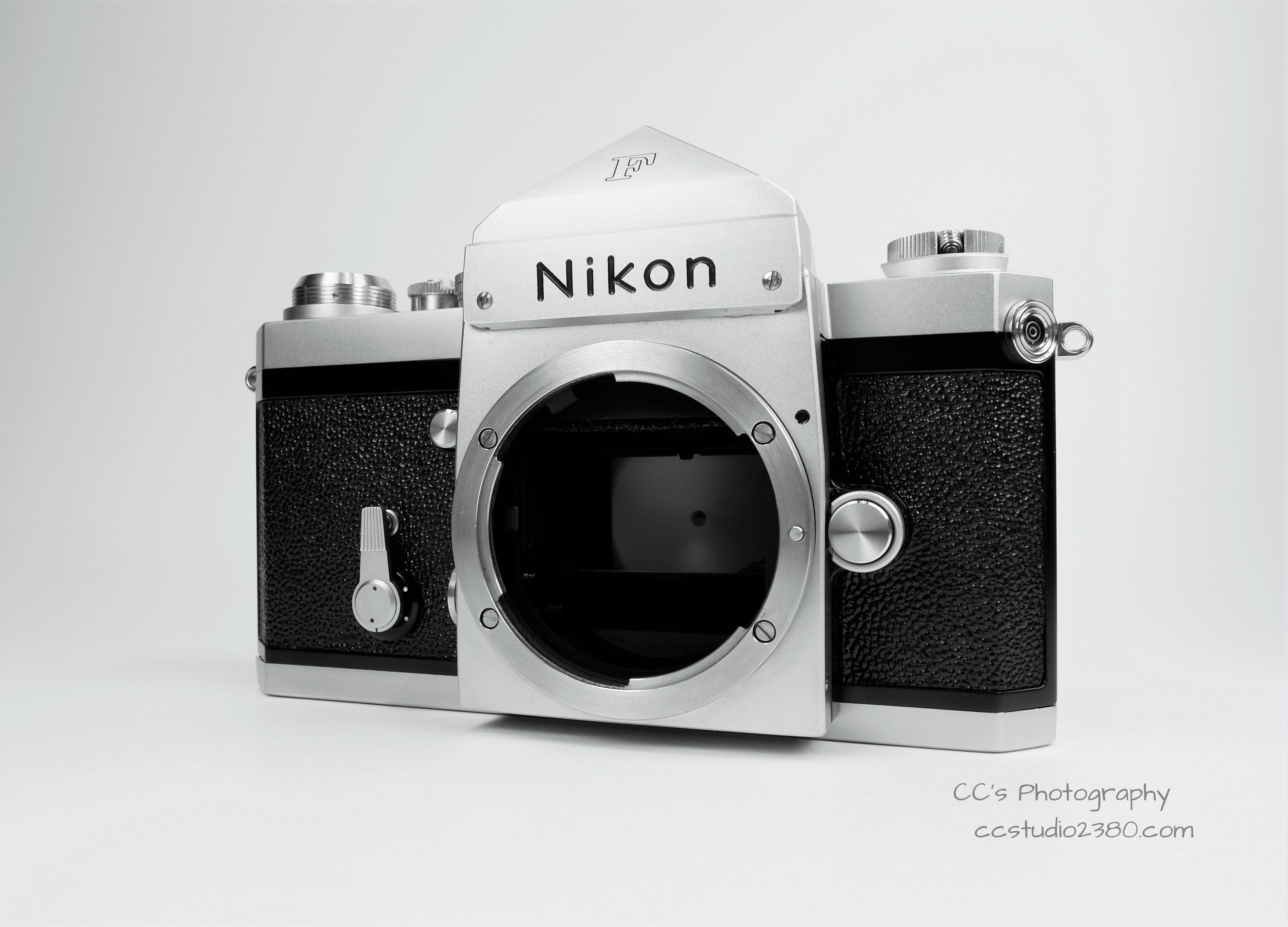 DSCF7401 nikon f logo 1