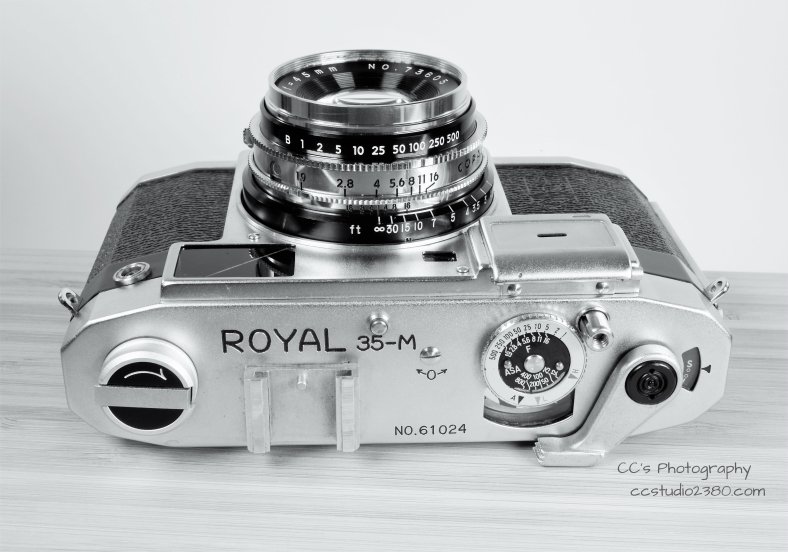 royal 35m logo2