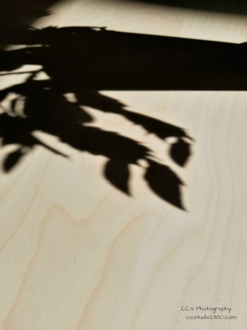 20181130_142323 logo