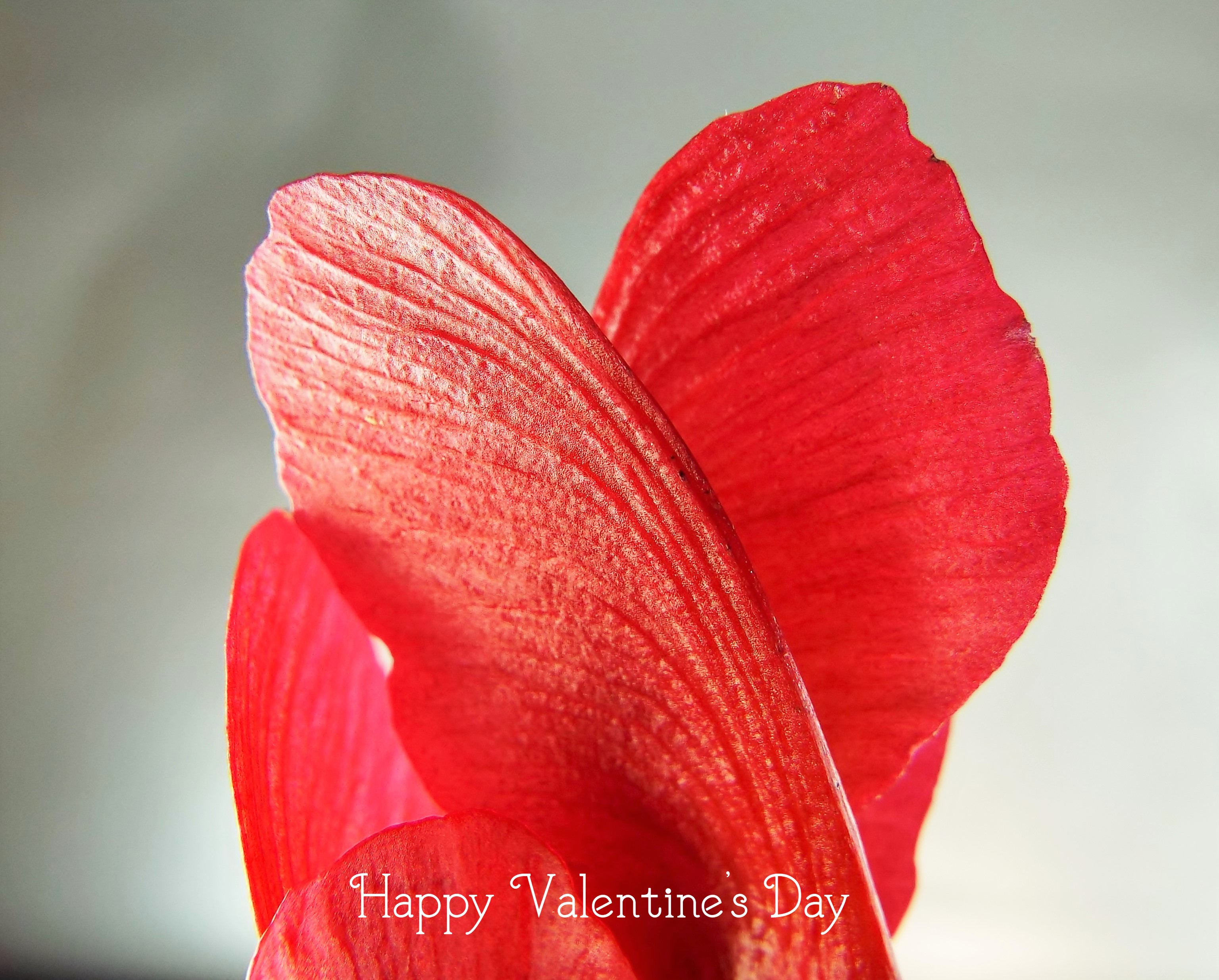 24855696904_e090deec1b_o 1