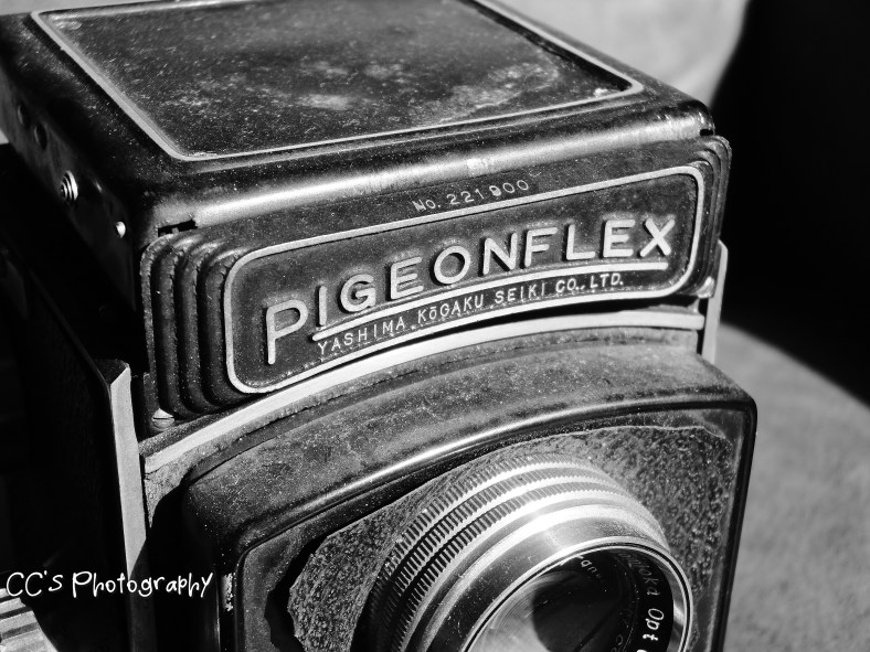 15540067752_587c98d2b2_o (1)