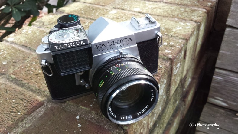 20186770749_3906ae1138_o (1)