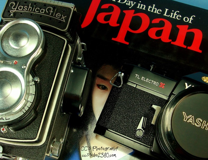 15406127075_f309af6603_o (1)