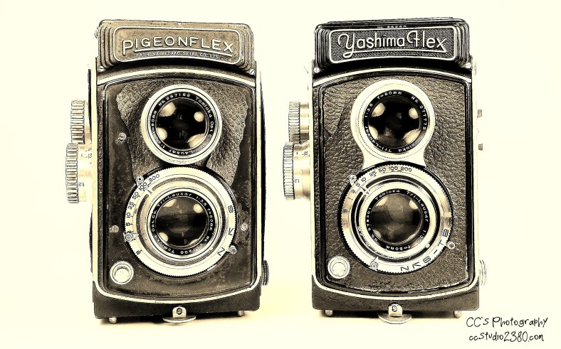 23866141666_82052528d0_o (1)