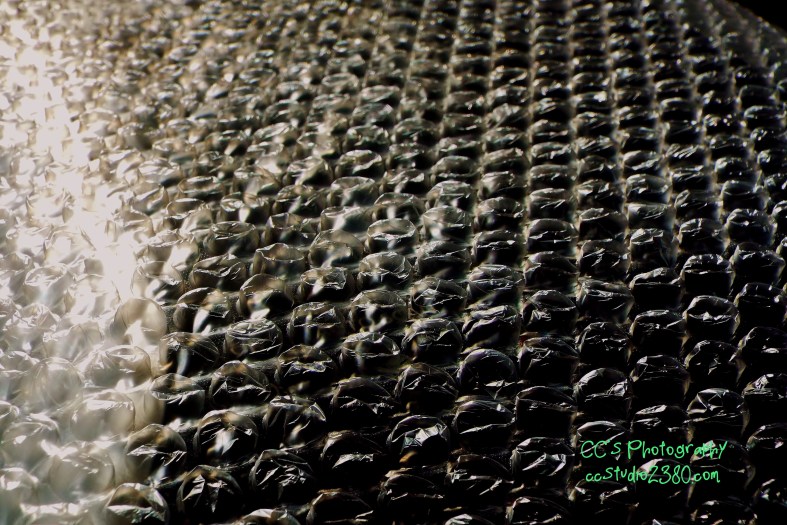 25130163581_70e32ef502_o (1)