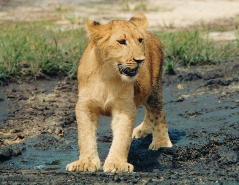 29437326615_843b74f66e_o