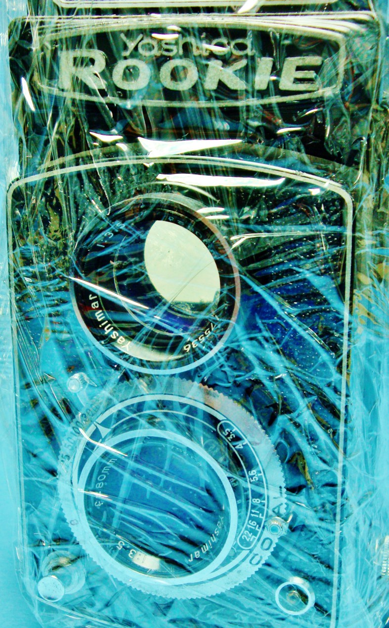 15178329819_402c0101ee_o