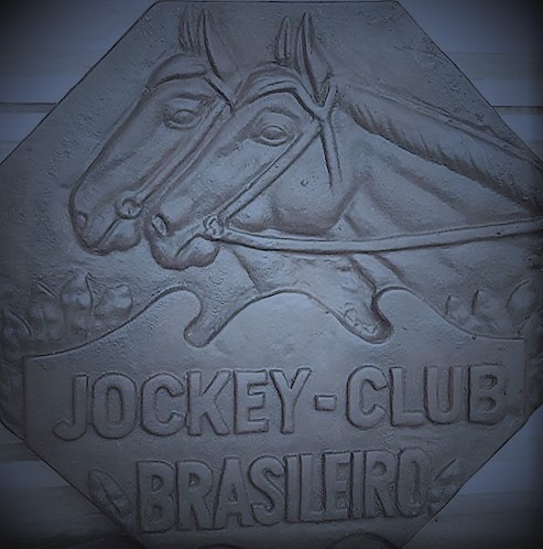 64947557_427743011404789_798069931263418738_n